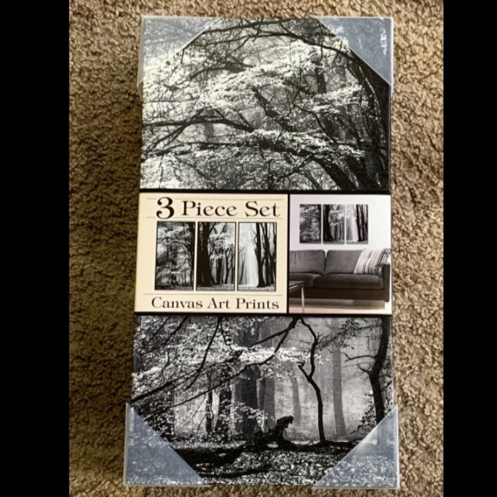 "Winter is Coming" Canvas Wall Art Prints